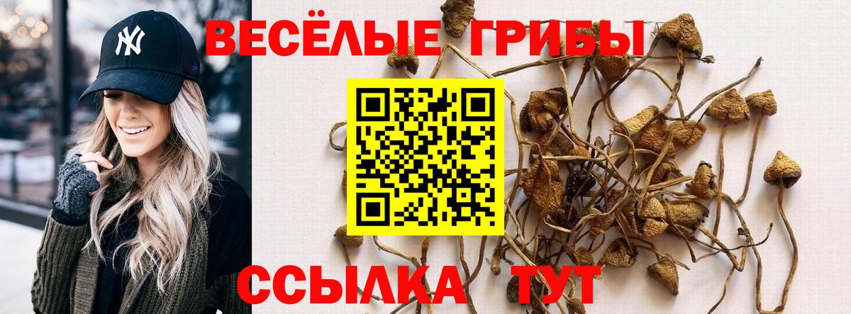 Псилоцибиновые грибы Magic Shrooms  Вход с VPN  Маркс 